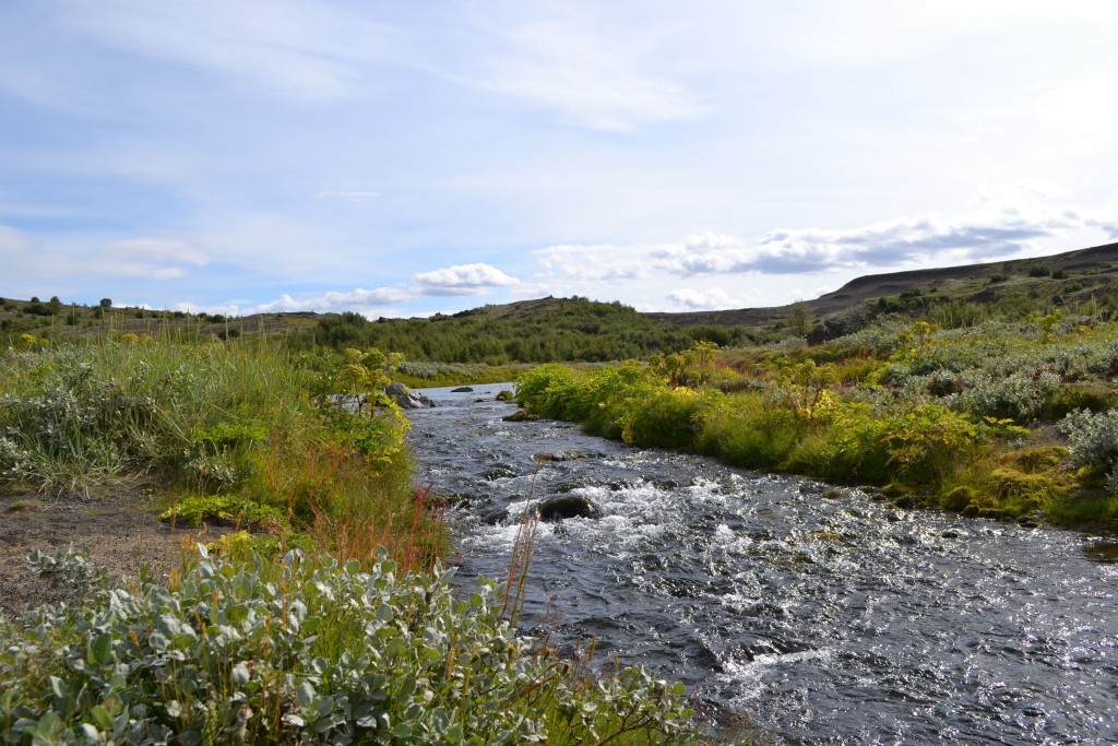 Frumkvöðladagur uppsveitanna 12. mars