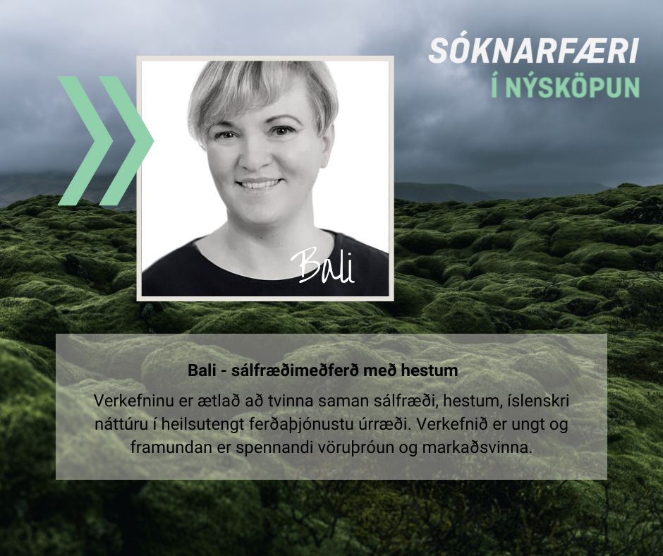 Níu teymi valin inn í viðskiptahraðalinn Sóknarfæri í nýsköpun