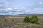 Ráðstefna um nýtingu lífræns úrgangs 20. mars