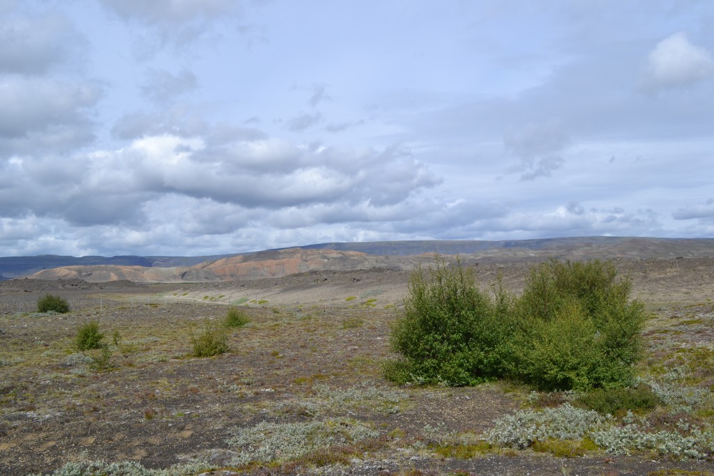 Ráðstefna um nýtingu lífræns úrgangs 20. mars