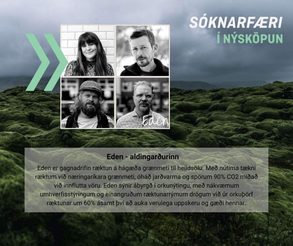 Níu teymi valin inn í viðskiptahraðalinn Sóknarfæri í nýsköpun