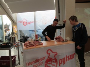 Starfamessa á Suðurlandi 2015