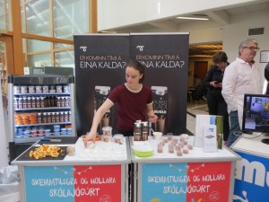 Starfamessa á Suðurlandi 2015
