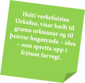 Orkídea (Orkufrek matvælaframleiðsla á Suðurlandi)