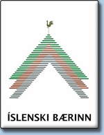 Opinn fundur um íslenska bæinn/turf house