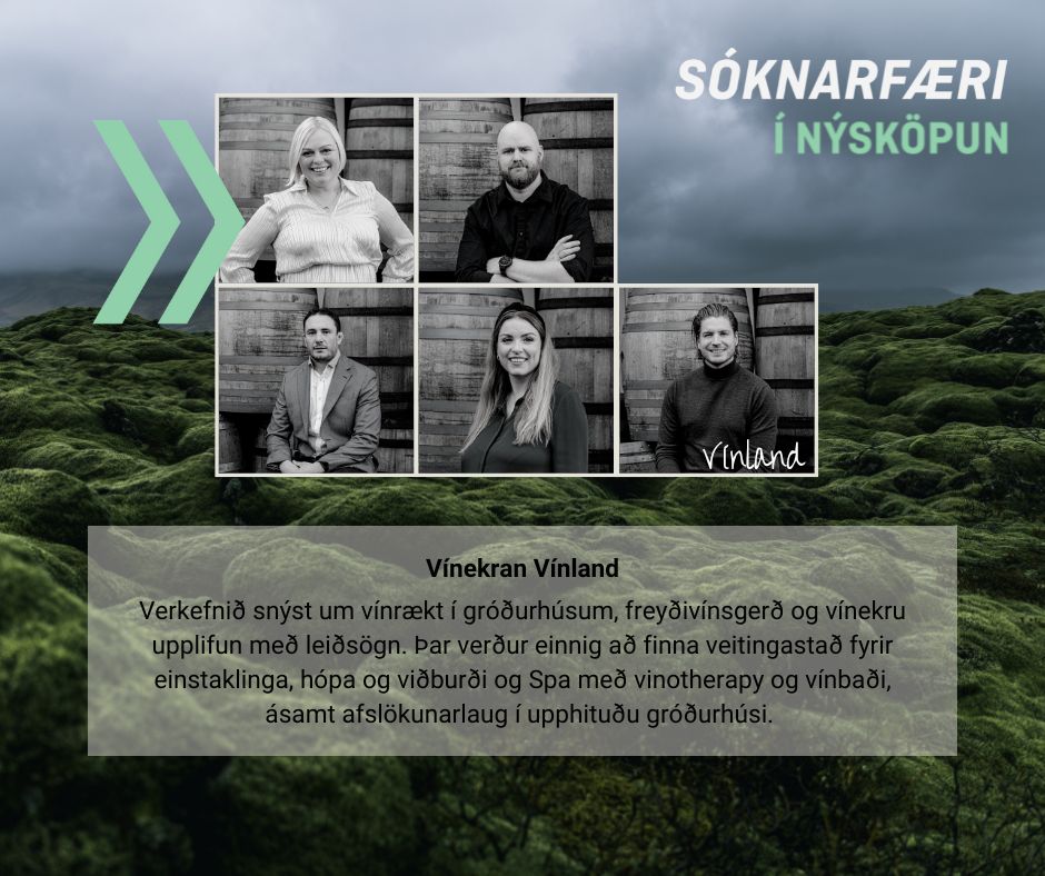 Níu teymi valin inn í viðskiptahraðalinn Sóknarfæri í nýsköpun