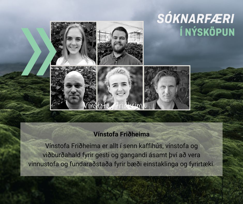Níu teymi valin inn í viðskiptahraðalinn Sóknarfæri í nýsköpun