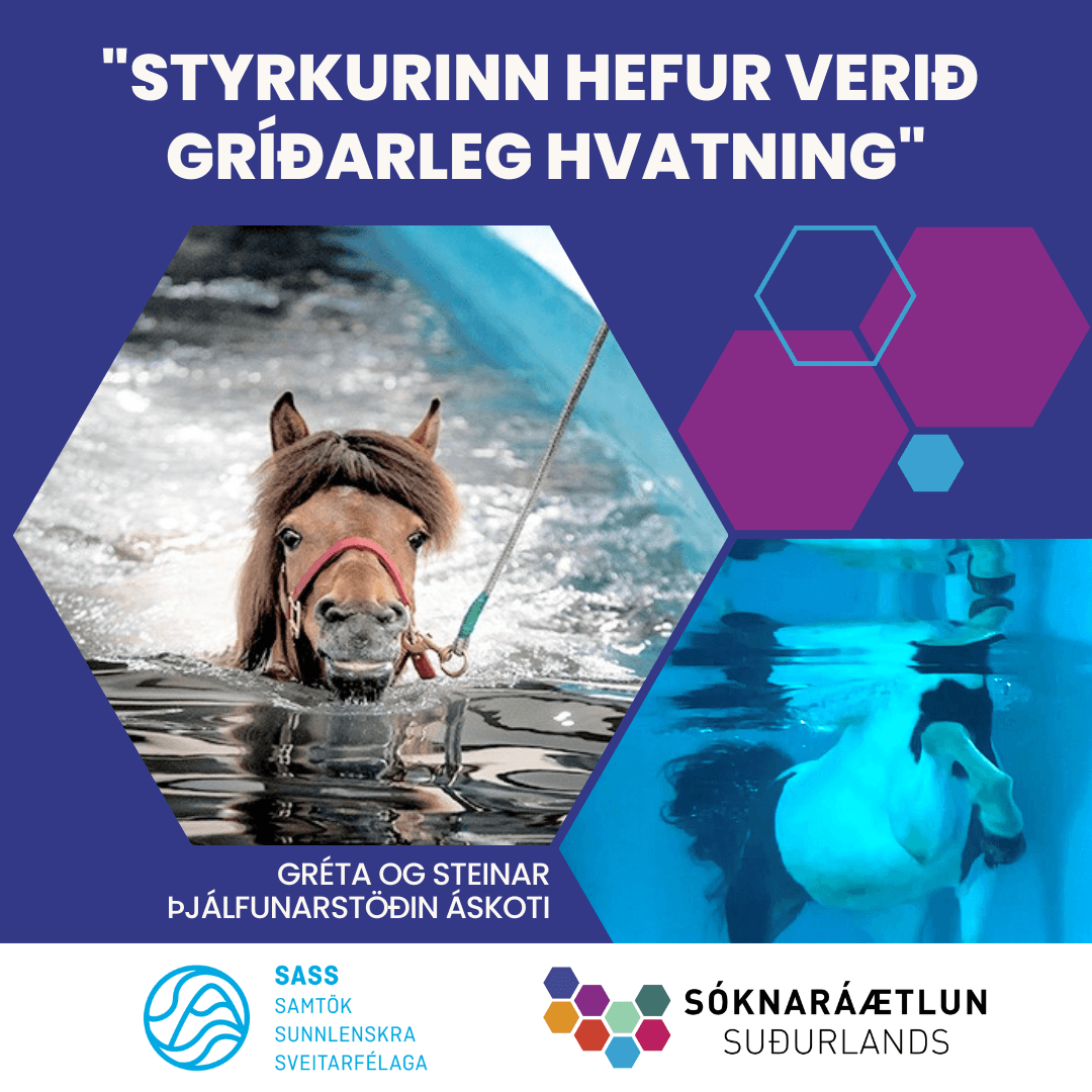 Kynningarfundur Uppbyggingarsjóðs Suðurlands vorið 2023 - myndband