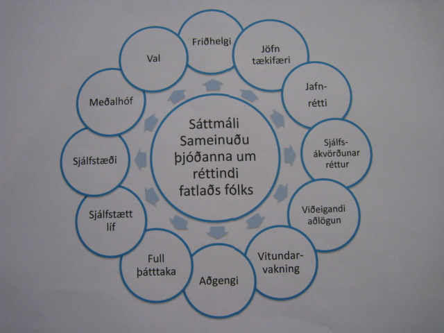 Gagnlegur fundur um málefni fatlaðra