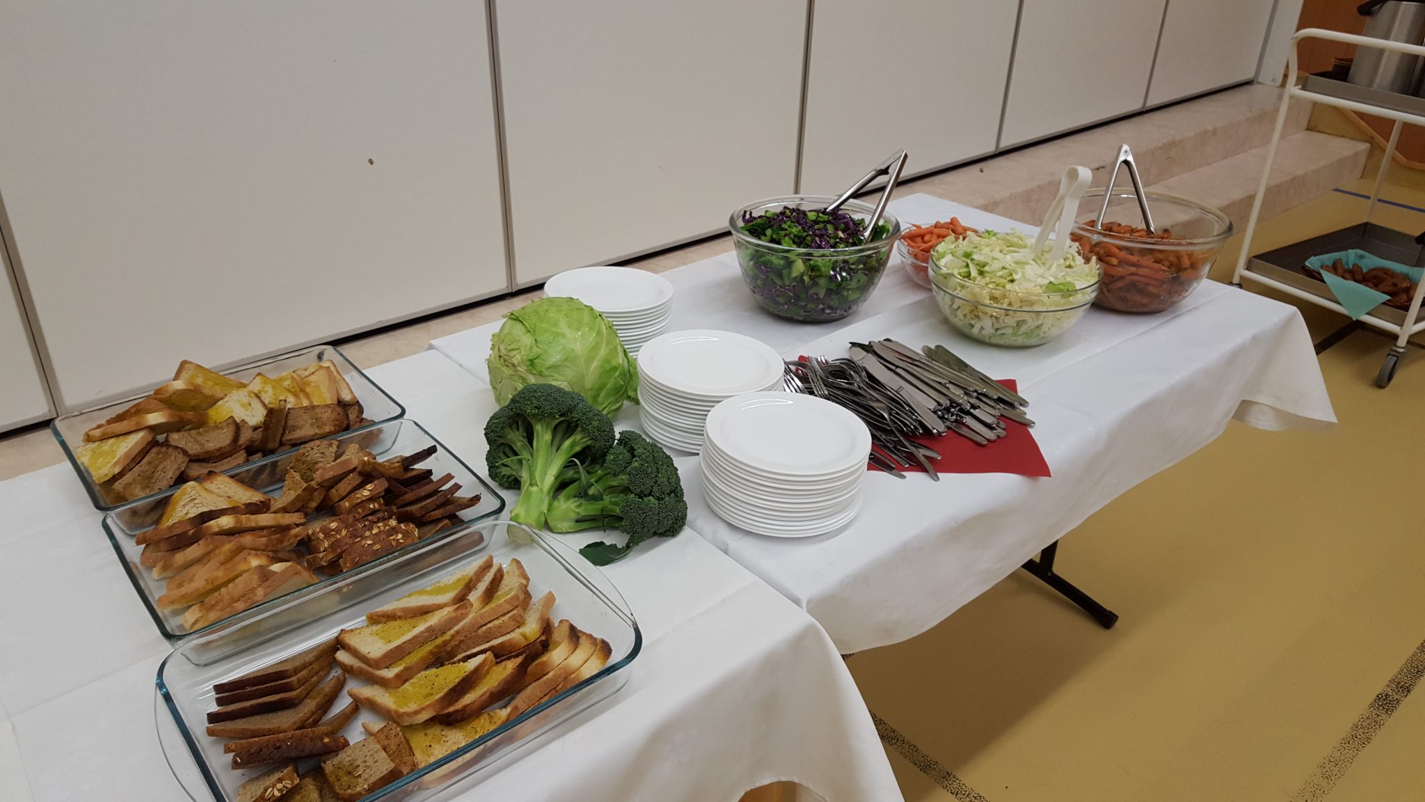 Skýrsla og fyrirlestrar vegna ráðstefnunnar "Sjálfbært Suðurland - úrgangsmál"