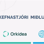 Verkefnisstjóri miðlunar