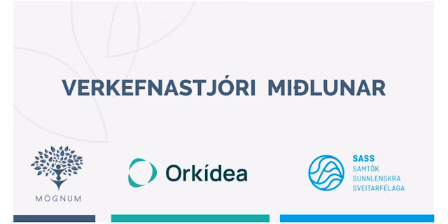 Verkefnisstjóri miðlunar