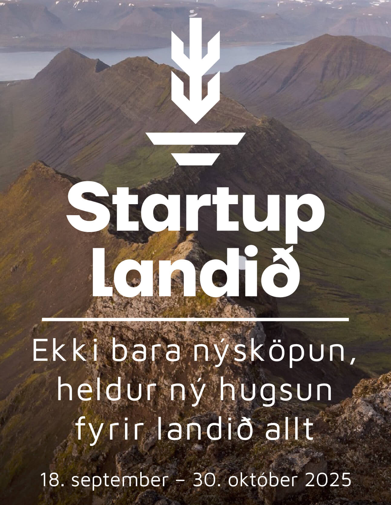 Festivus, súkkulaðigerð á Höfn, og Hundaveisla, hundafóður á Selfossi, valin í Startup Landið