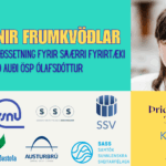 Forvitnir frumkvöðlar - Stafræn markaðssetning fyrir smærri fyrirtæki